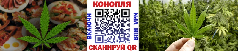 Canna-Cookies марихуана  Купить  Емва 