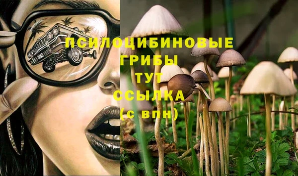 ешки Кинешма