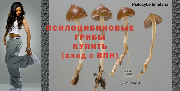 ешки Кинешма