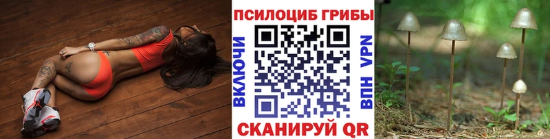 Купить закладки  Емва  Галлюциногенные грибы мицелий 